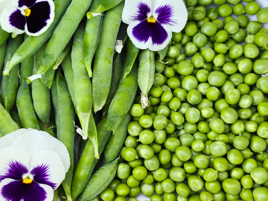 Green Arrow Sweet Green Shelling Pea Seeds