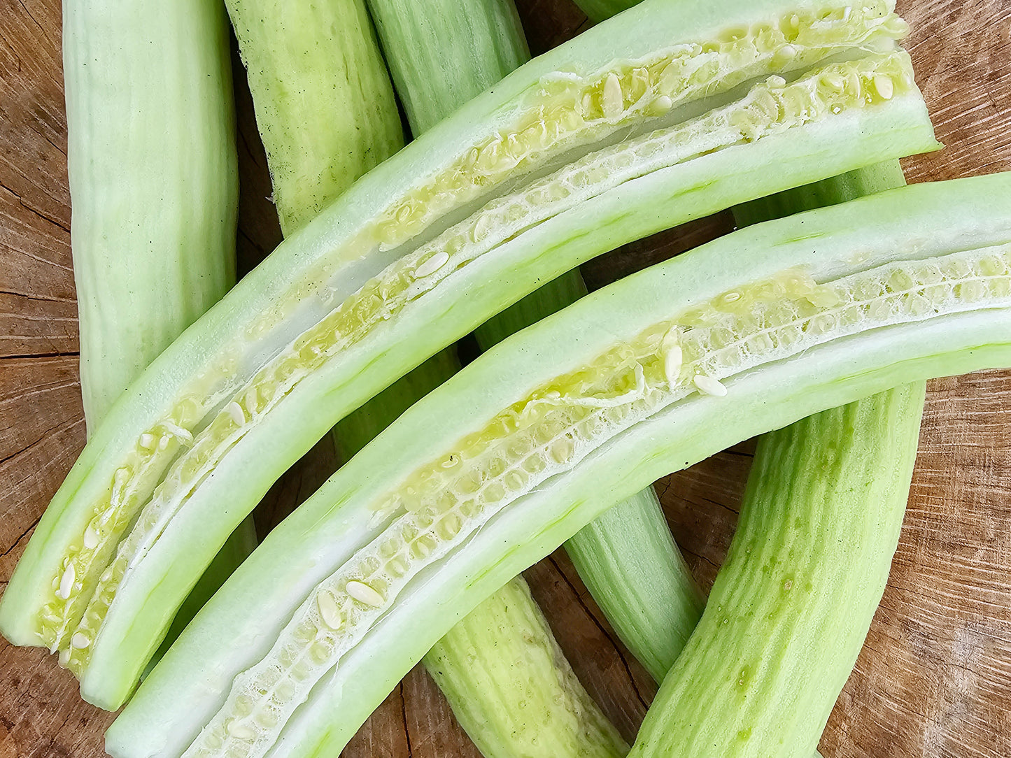 RARE Indian Snake Cucumber Seeds