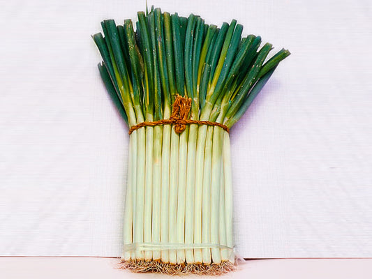 Bunch of green onions tied with twine on a white background