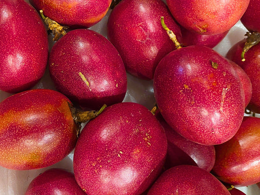 Panama Red Passion Fruit LIVE Starter Plant