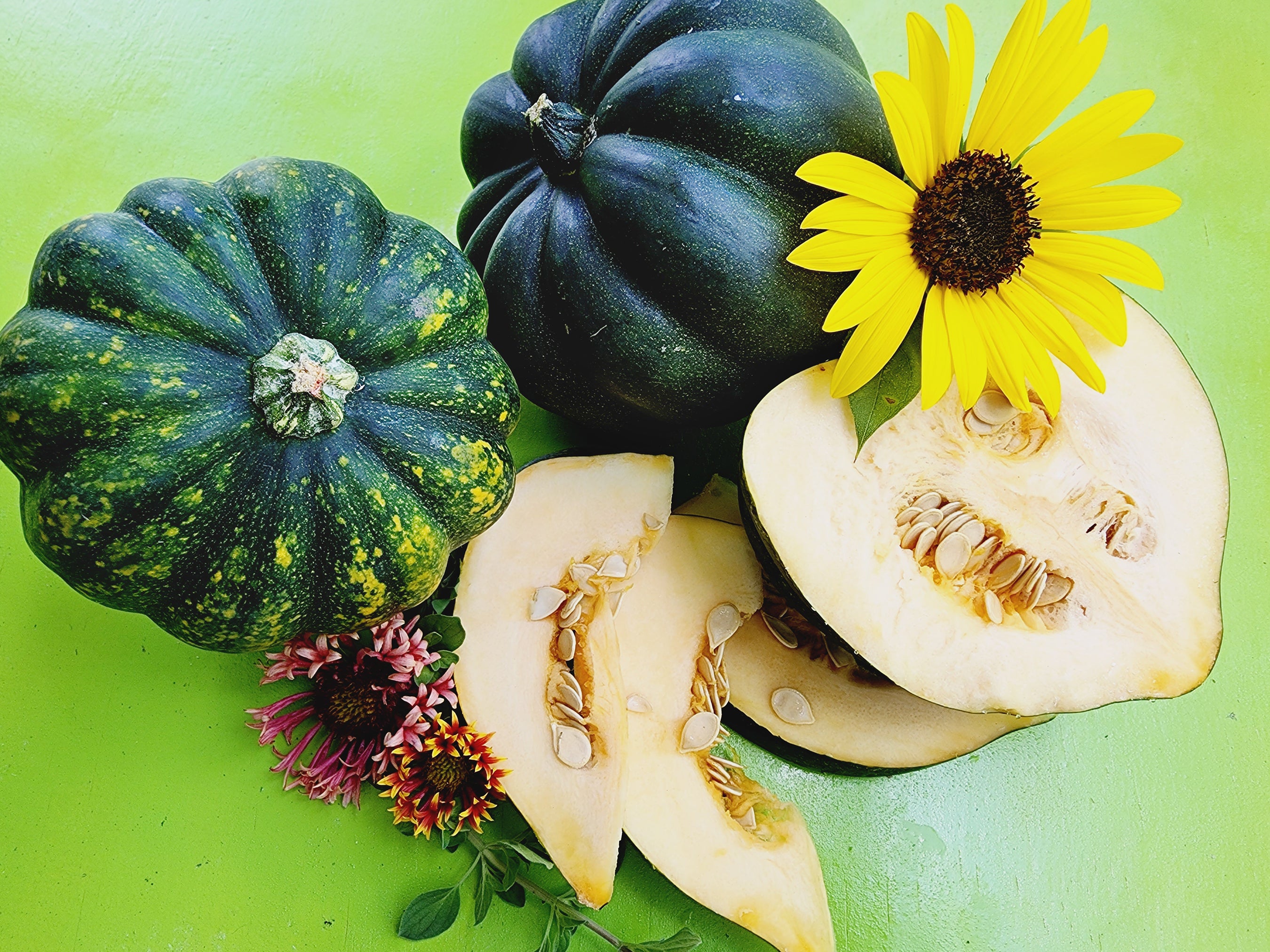 Acorn Winter Squash – Compact Heirloom for Baking – Jerra's Garden