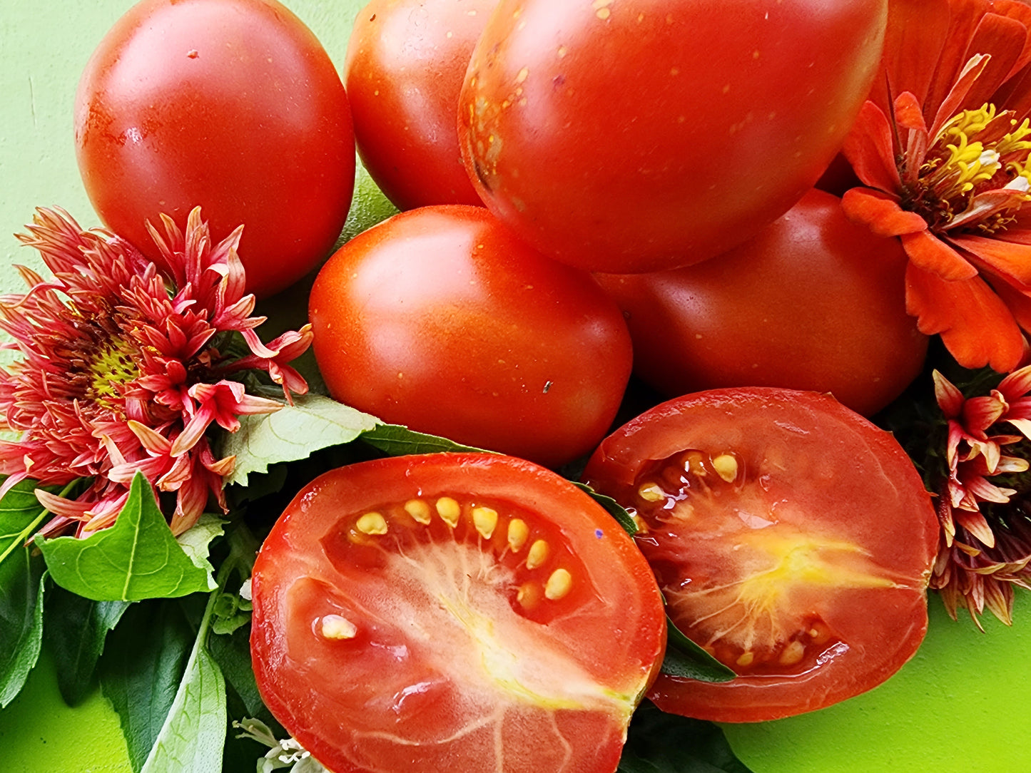 Bisignano Italian Paste Tomato