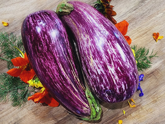 Galaxy of Stars Eggplant Seeds