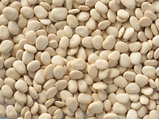 Henderson Bush Lima Butter Bean Seeds