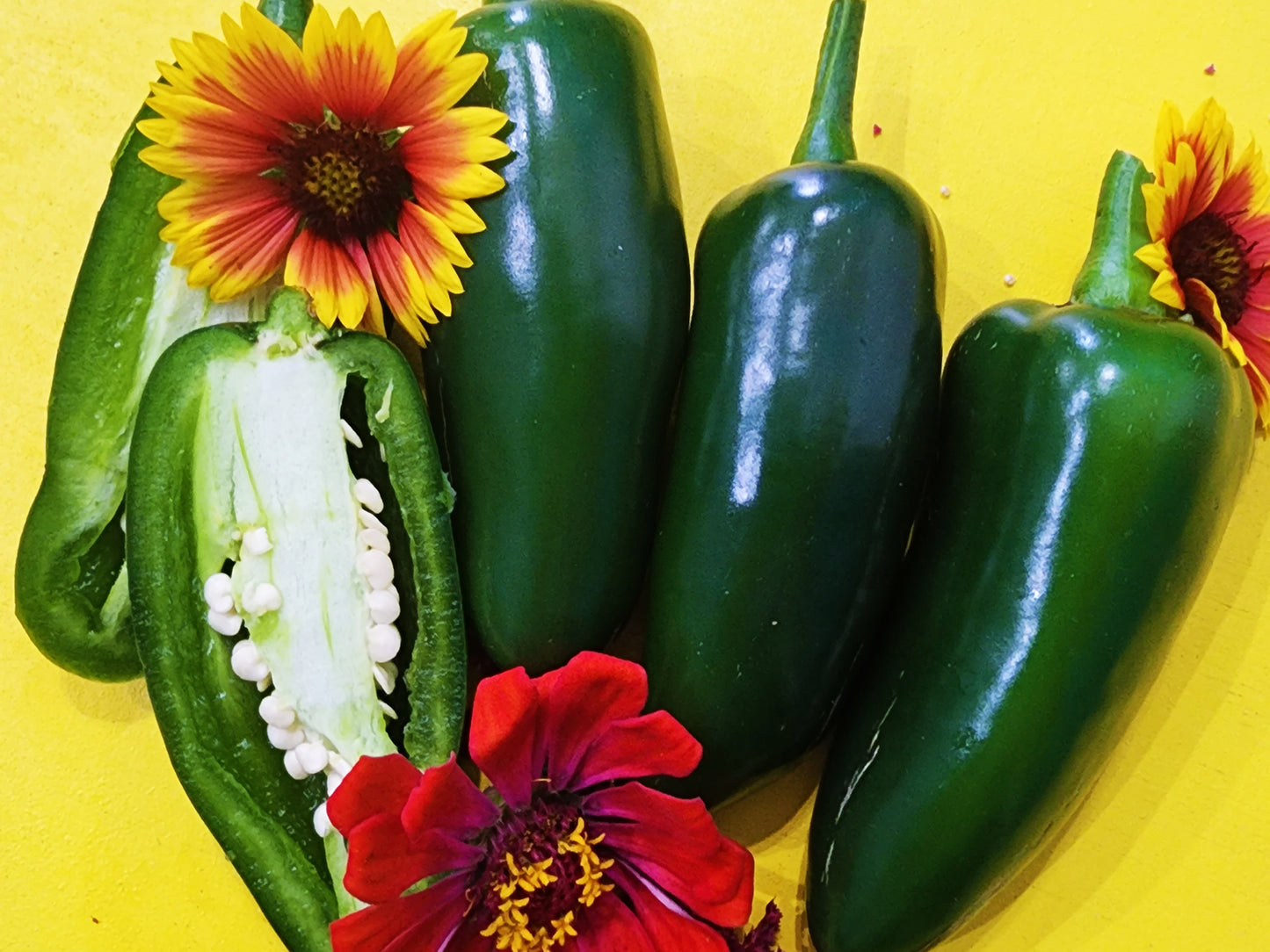 Jalapeno Hot Pepper Seeds