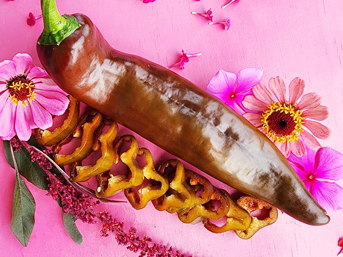 Jumbo Chocolate Sweet Pepper Seeds