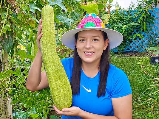 Superior Light Green Luffa Seeds To Grow Luffa Sponges