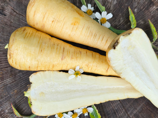 Hollow Crown Parsnip Vegetable Seeds
