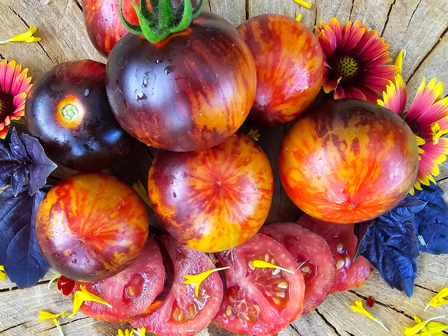 Queen of the Night Cherry Tomato
