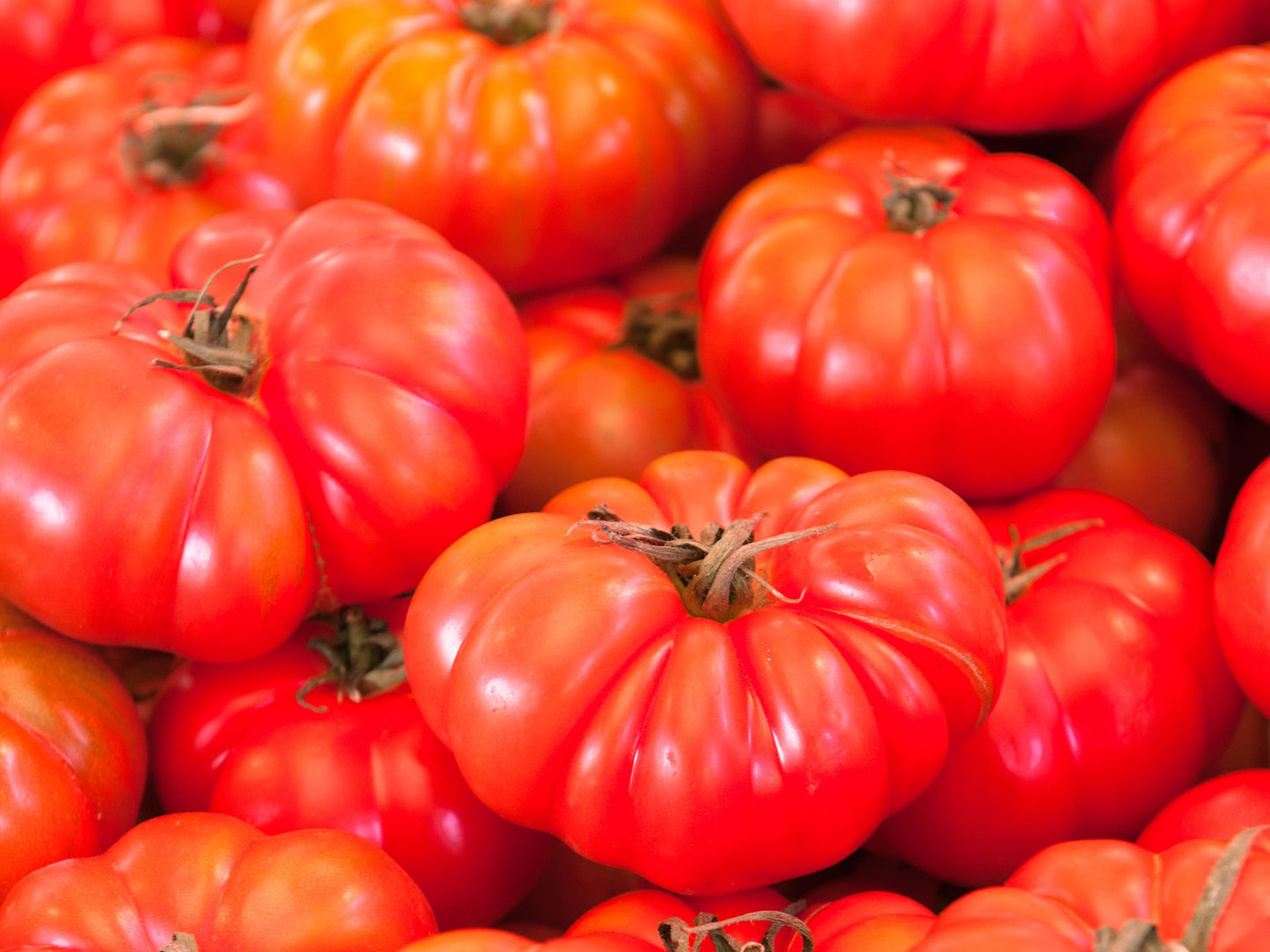 Brandywine Beefsteak Tomato Seeds