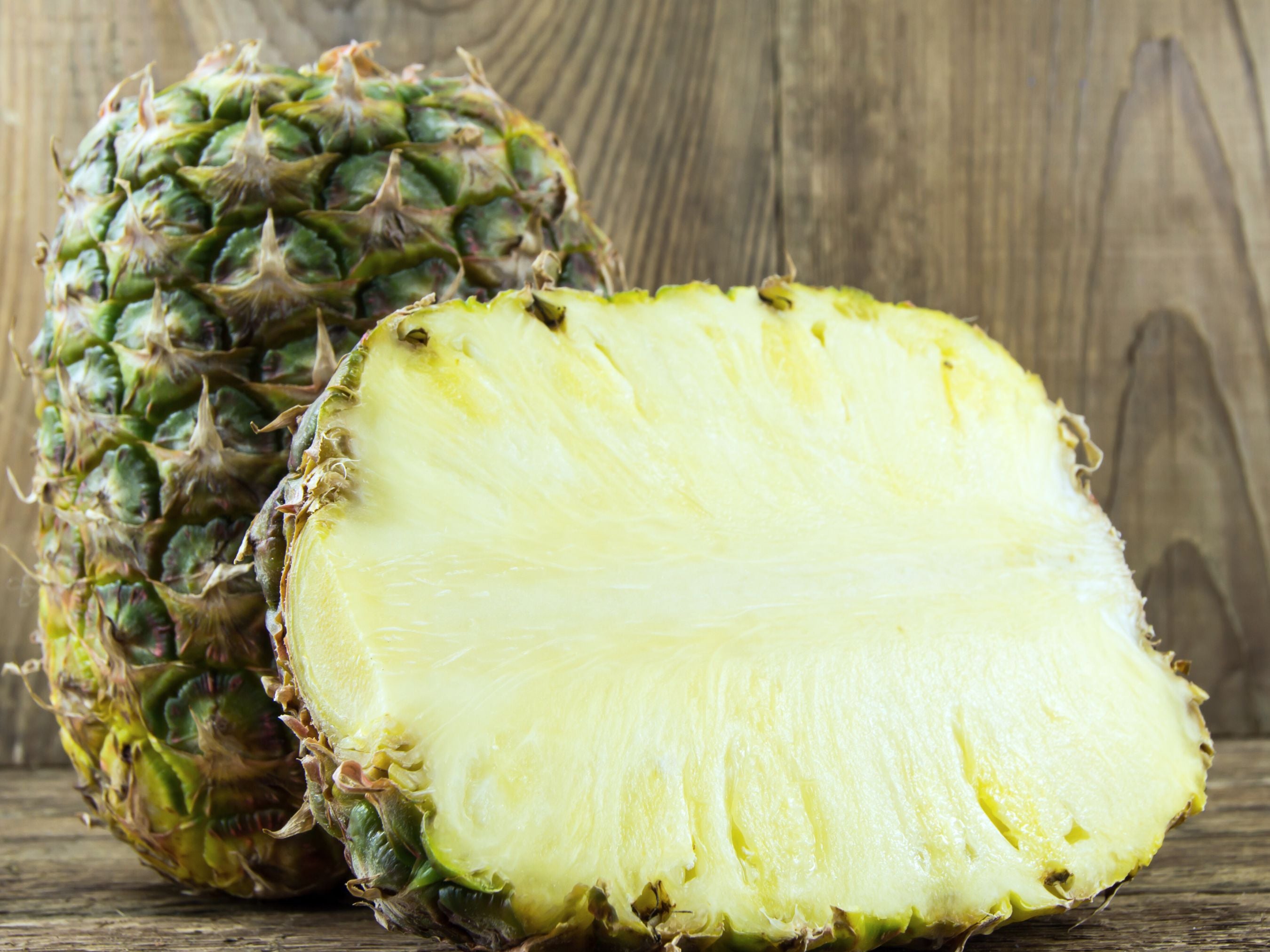 Sugarloaf White Pineapple LIVE Plant  Jerra's Garden