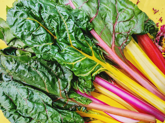 Rainbow Swiss Chard Seeds