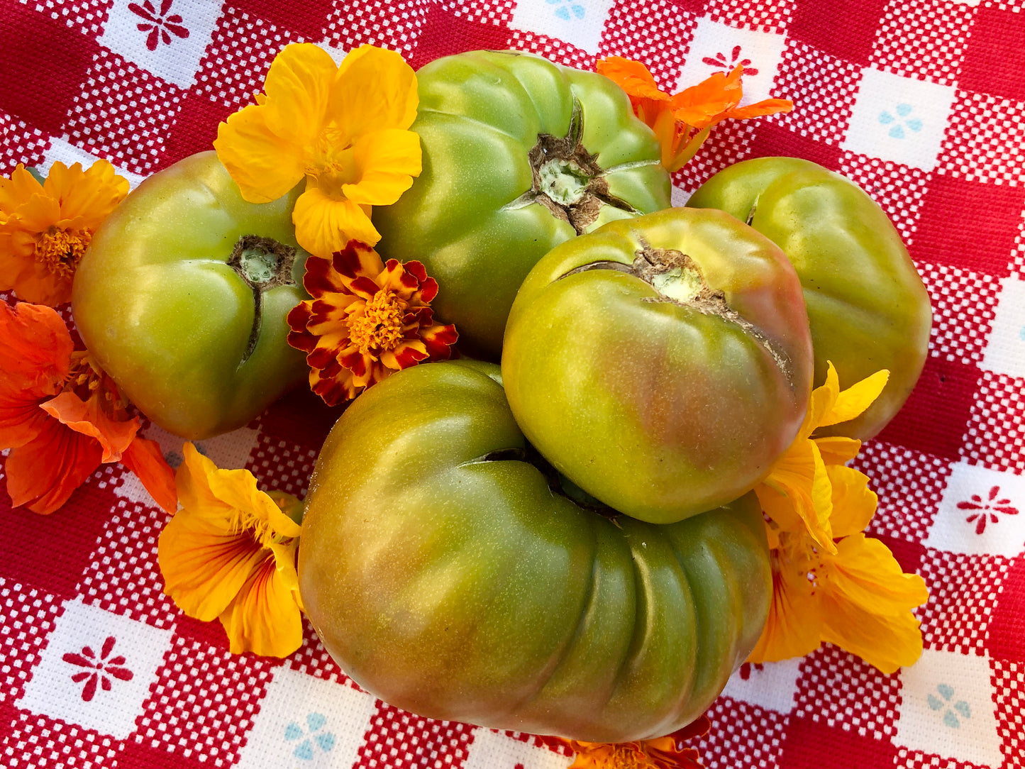 Ananas Noire Tomato Seeds