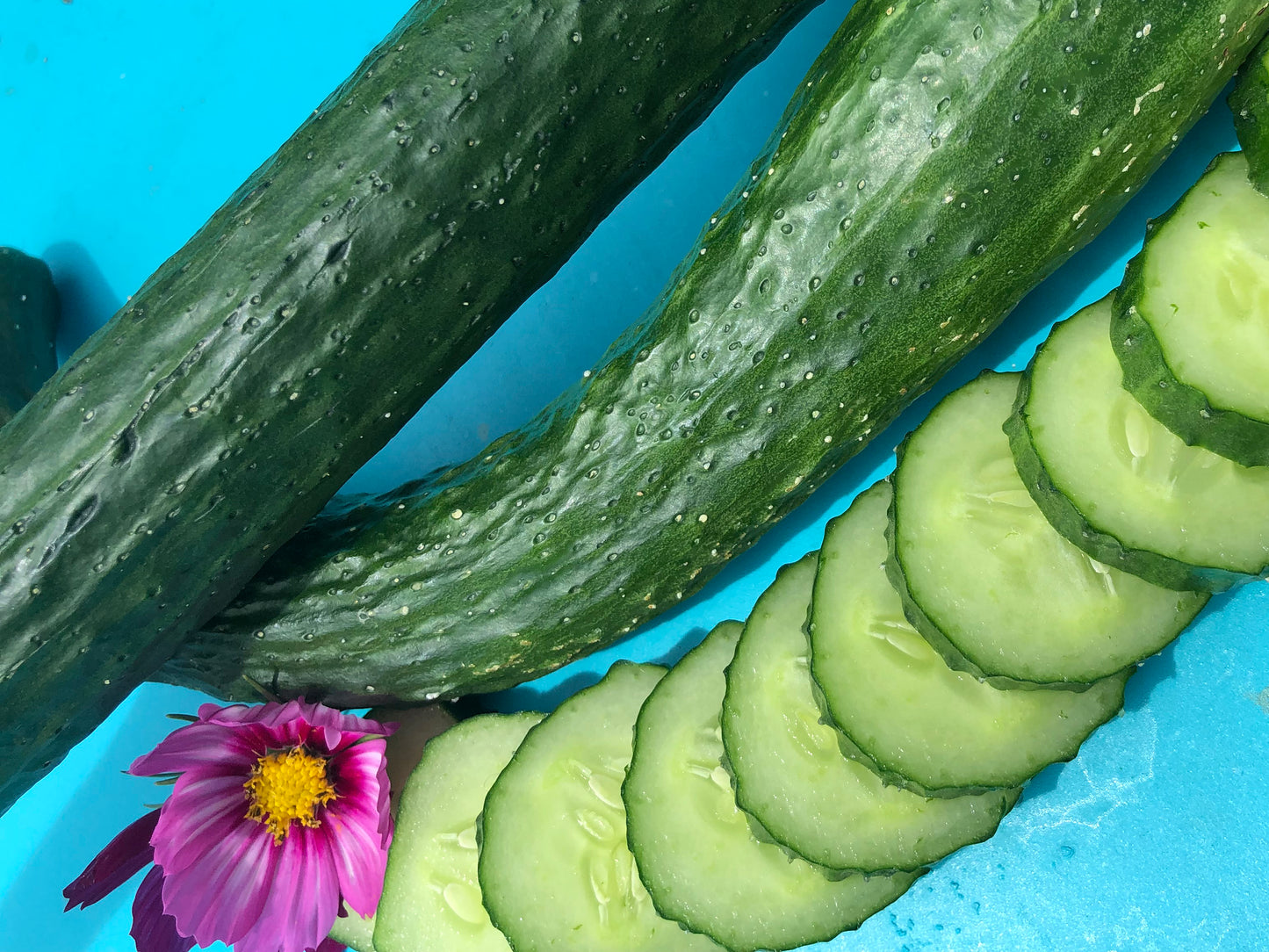 China Jade Cucumber Seeds