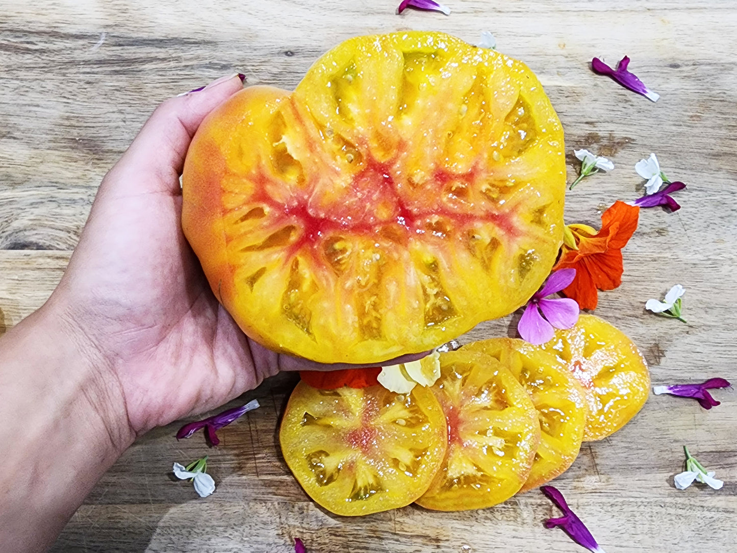 Dwarf Suzy's Beauty Beefsteak Tomato