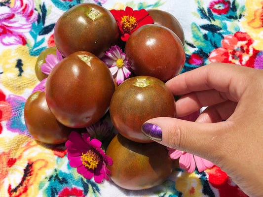 Japanese Trifele Large Pear Tomato Seeds