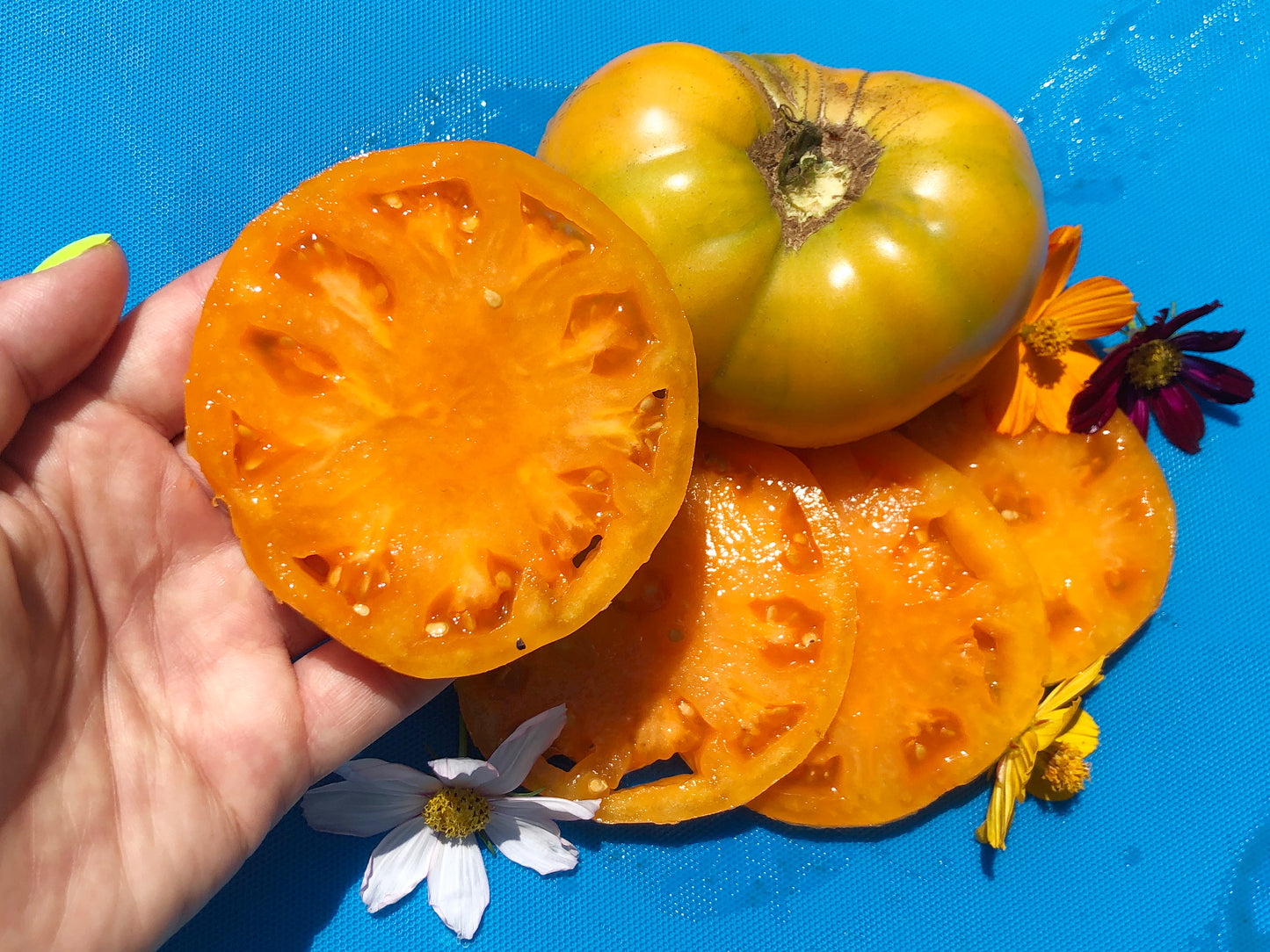Kellogg's Breakfast Tomato Seeds