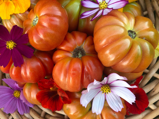 Paros Fluted Greek Tomato Seeds