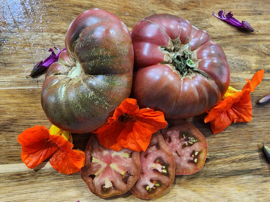 Dwarf Purple Reign Beefsteak Tomato Seeds