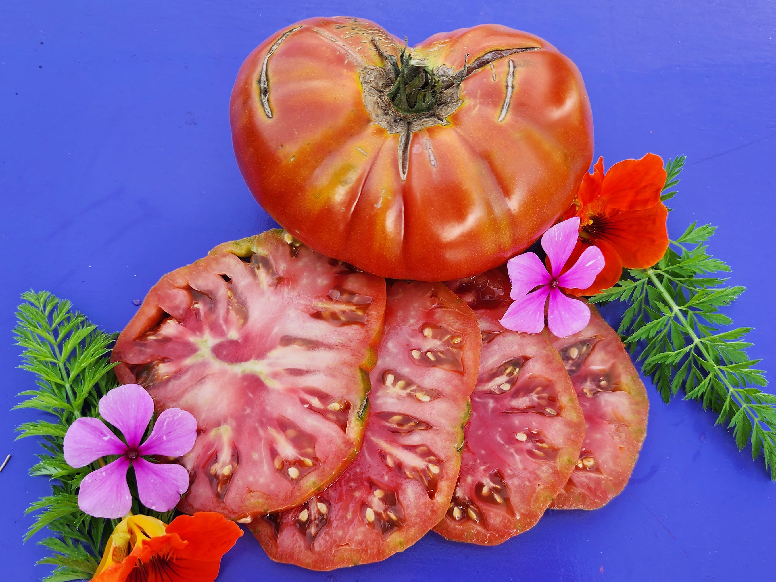Tomato texwinetomato1.jpg?v=1676729117