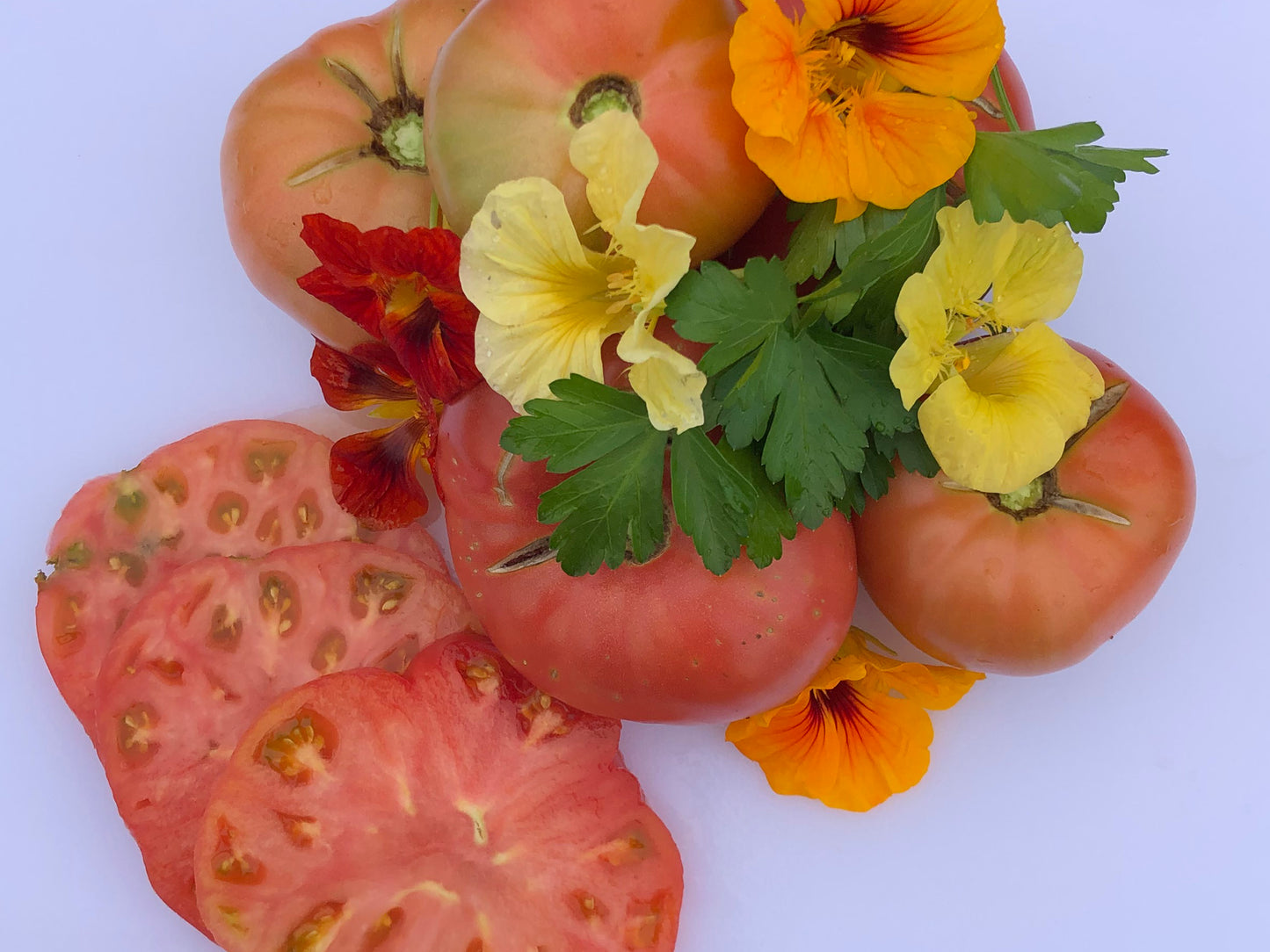Climbing Triple L Crop aka Italian Tree Tomato Seeds