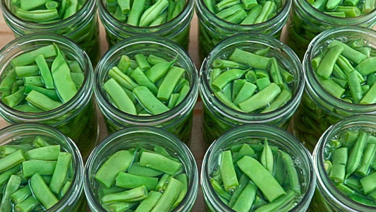 3 Ways to Preserve & Use a Big Green Bean Harvest | Garden to Table