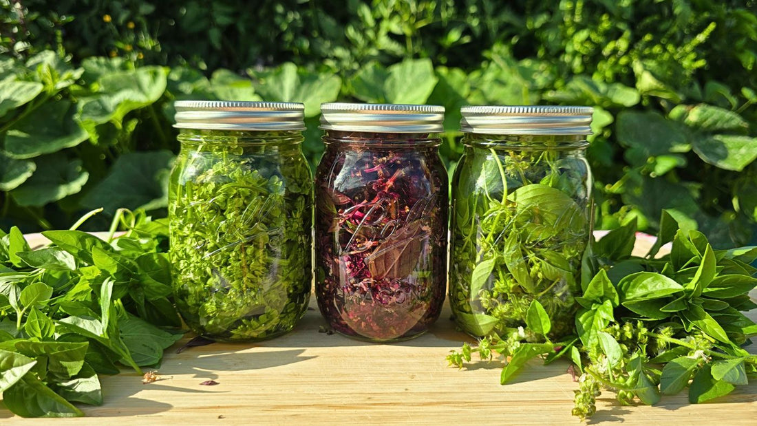 3 Easy Ways to Preserve & Use a Big Basil Harvest—No Cooking Required!