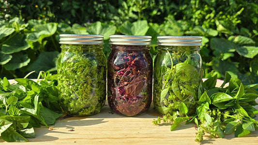 3 Easy Ways to Preserve & Use a Big Basil Harvest—No Cooking Required!