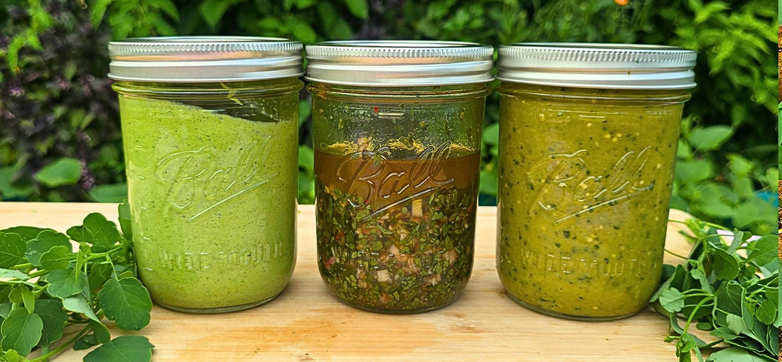 3 Delicious Ways to Use Papalo: Chimichurri, Poblano Crema & Roasted Tomatillo Salsa Verde