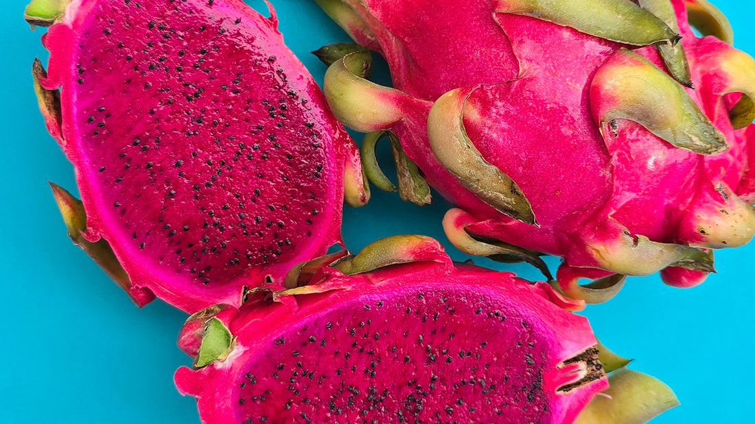 What Plants Grow Well in Florida?