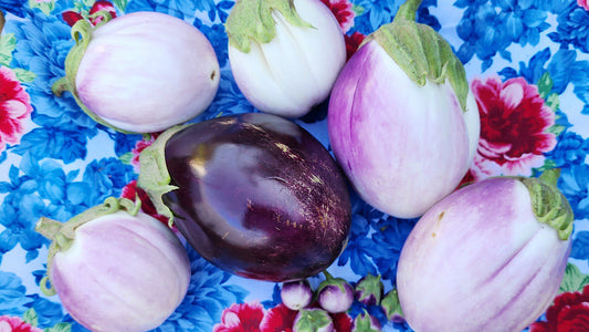 Eggplant Growing Guide for Every Gardener