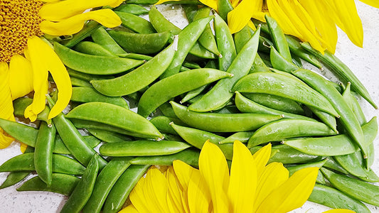 Peas (Snow Peas, Sweet/Shelling Peas, Snap Peas) Growing Guide