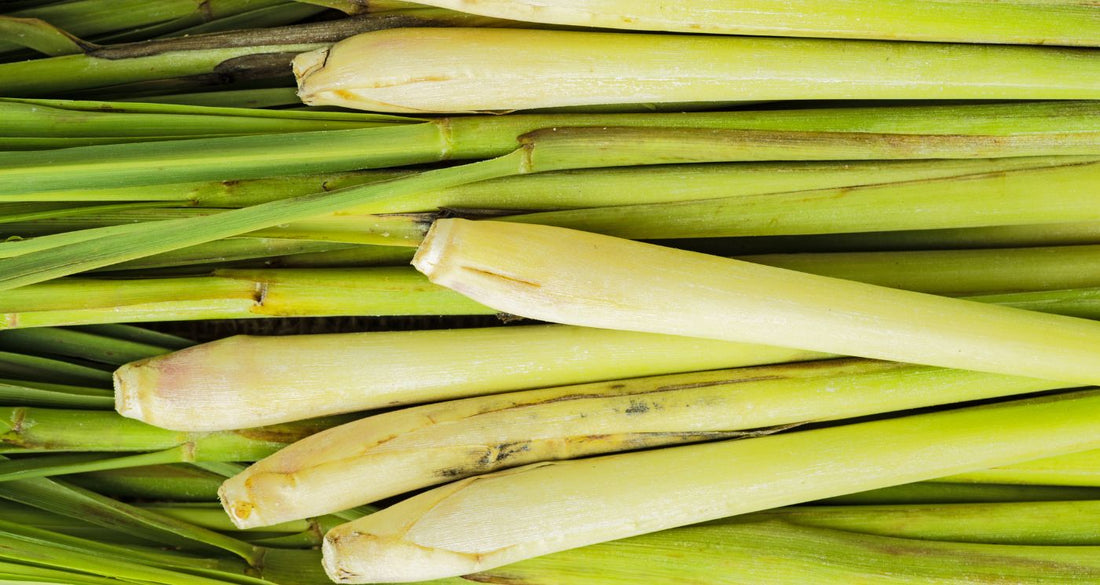 Lemongrass Recipes & DIY Homemade Products