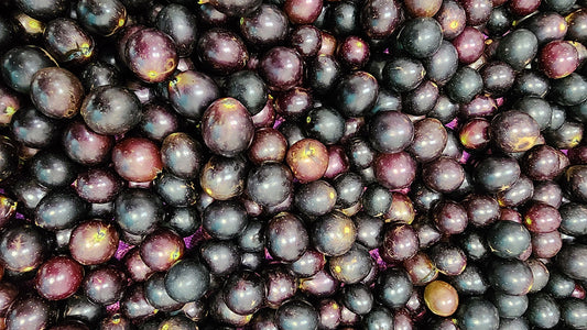 How to Make Muscadine Wine at Home - A Beginner-Friendly Guide