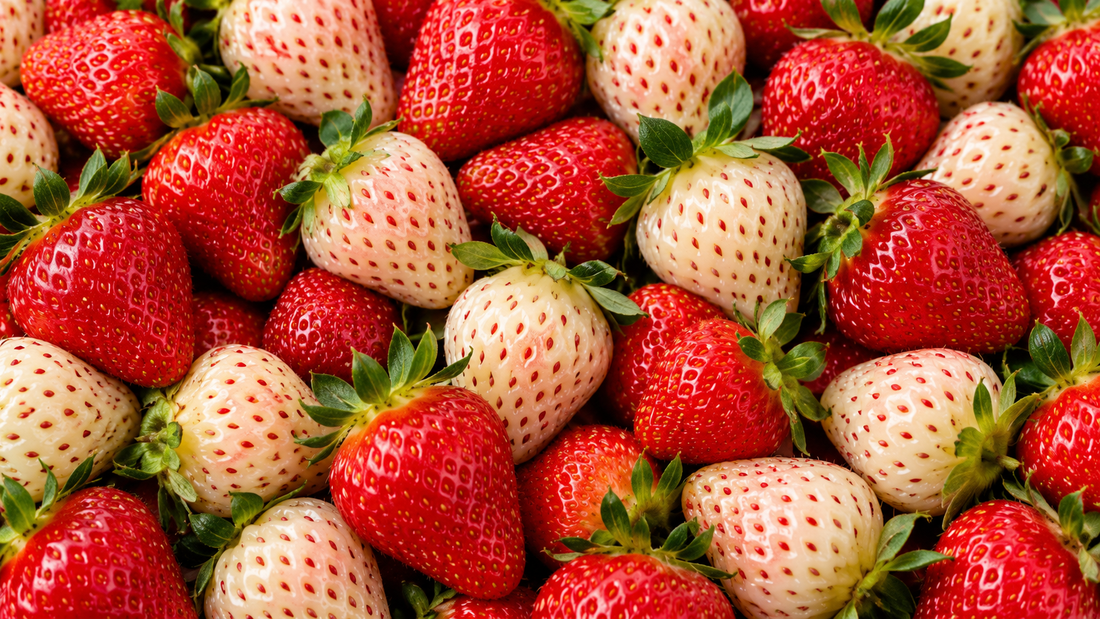 How to Grow Strawberries & Pineberries From Bare Roots: Complete Growing Guide