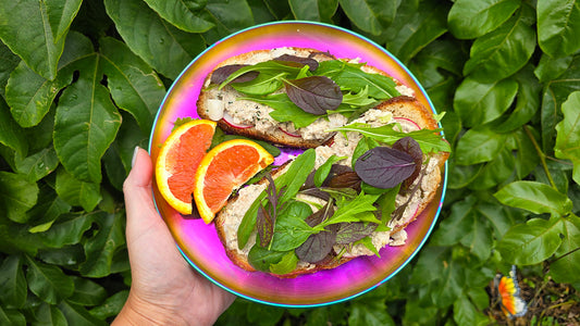 Sardine & White Bean Toast Recipe - High In Protein & Fiber