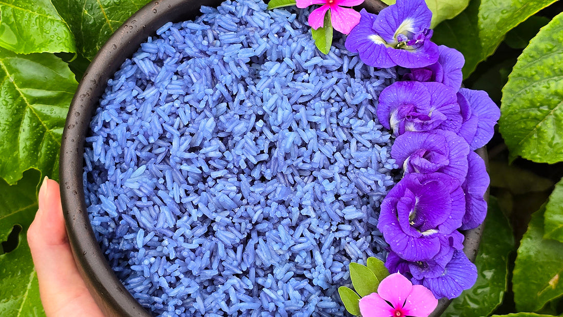 Thai Blue Rice Recipe Using Thai Blue Butterfly Pea Flowers – Jerra's ...