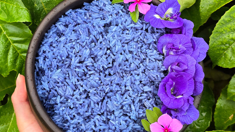 Thai Blue Rice Recipe Using Thai Blue Butterfly Pea Flowers – Jerra's ...