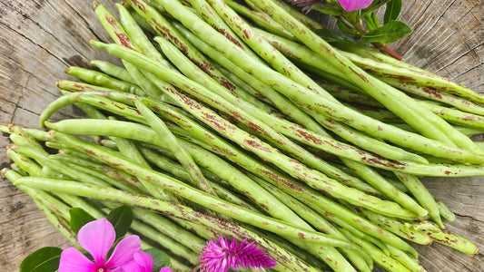How To Grow Thai Soldier Long Beans: A Gardener's Guide From Seed To Harvest