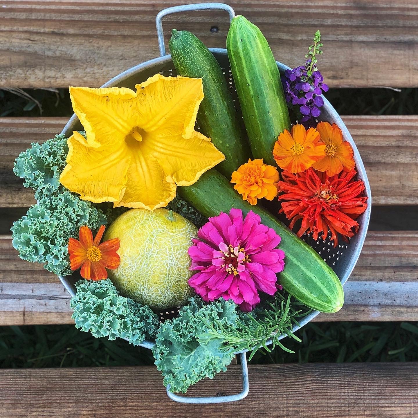 All Seeds & Plants