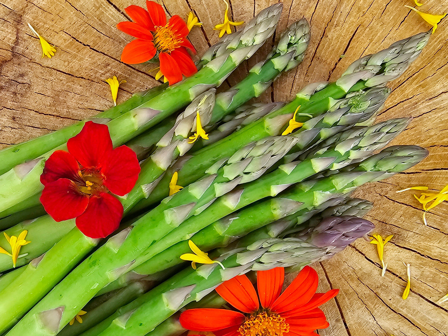 Asparagus & Artichoke Seeds