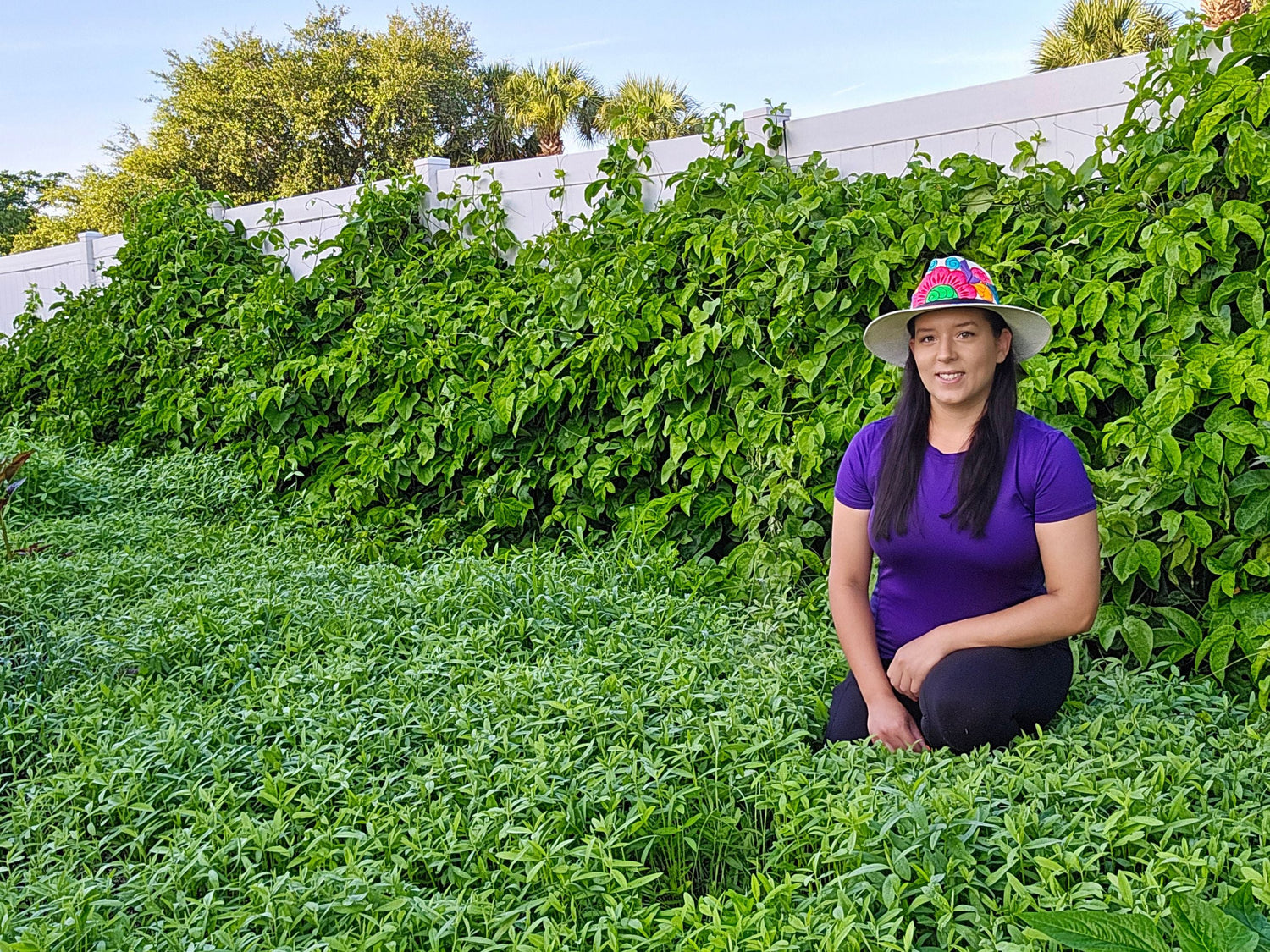 Cover Crops