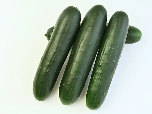 201 Hybrid Slicer Cucumber Seeds - High Disease Resistance