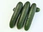 201 Hybrid Slicer Cucumber Seeds - High Disease Resistance