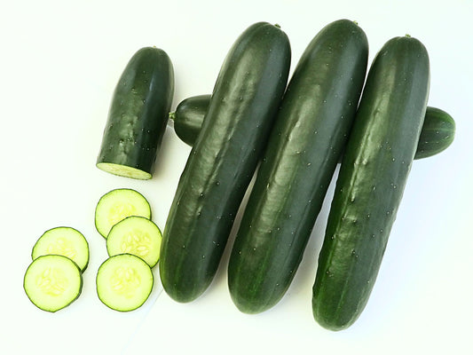 201 Hybrid Slicer Cucumber Seeds - High Disease Resistance