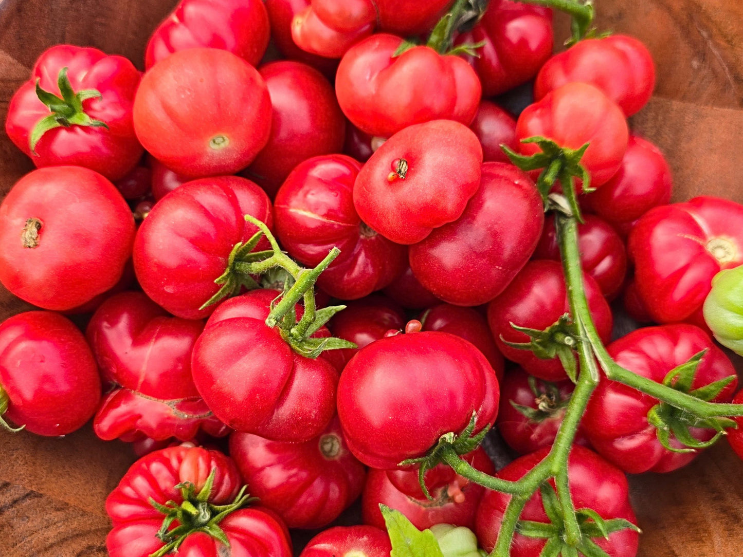 African Togo Cherry Tomato Seeds