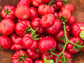 African Togo Cherry Tomato Seeds