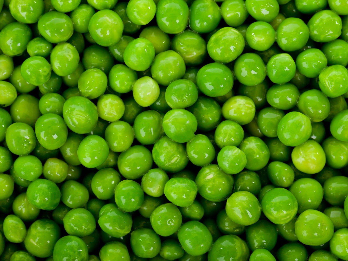 Alaska Dwarf Sweet Green Pea Seeds