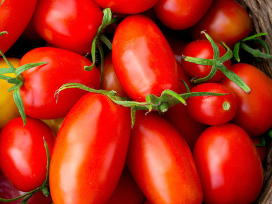Amalfi San Marzano Style Hybrid Tomato Seeds - Very High Disease Resistance