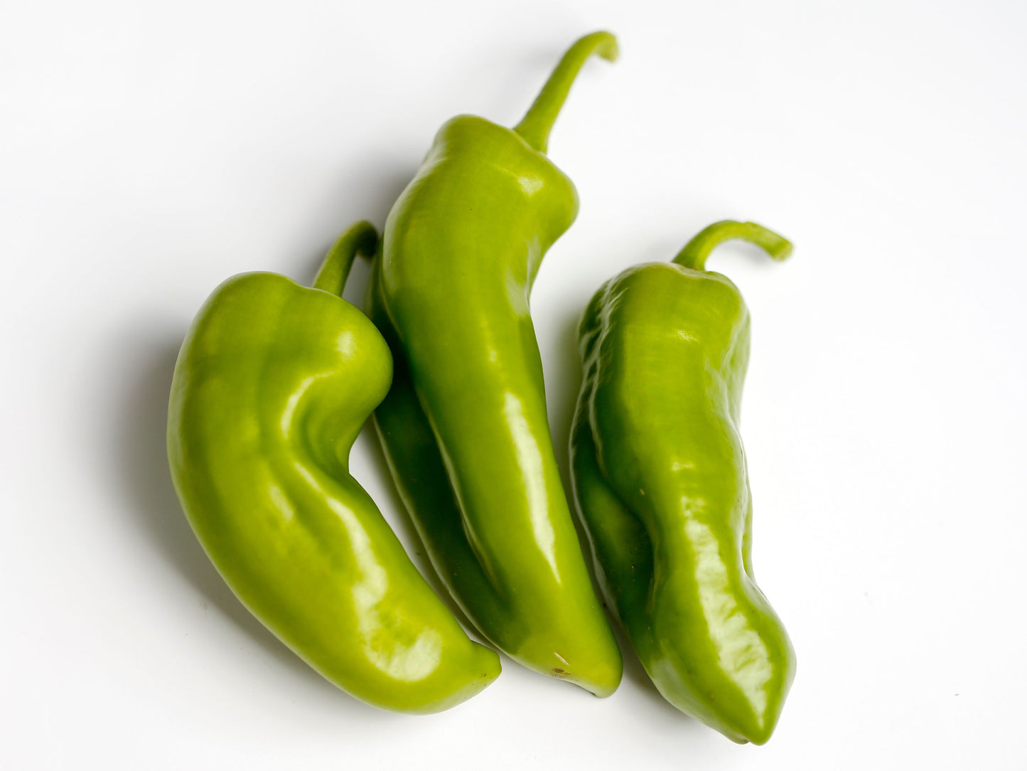 Anaheim Mild Chili Pepper Seeds